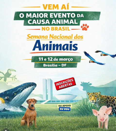 semana animais