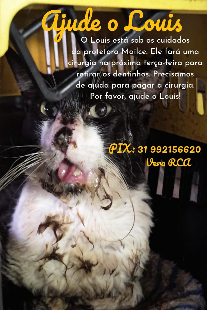 WhatsApp Image 2026-03-22 at 19.10.54