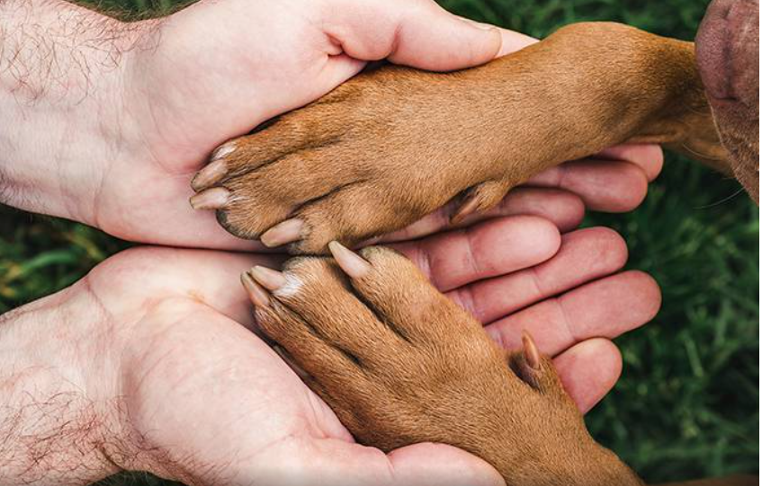 Screenshot 2026-04-07 07.33.02