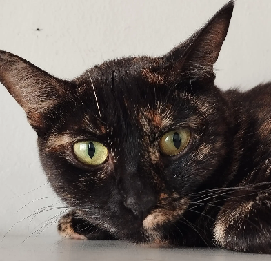 Agnes