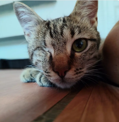 Miguel